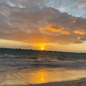 Rosas De Punta Cana